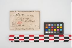 Etikett zu Bronzearmreif (NHMW-PRAE-026354)